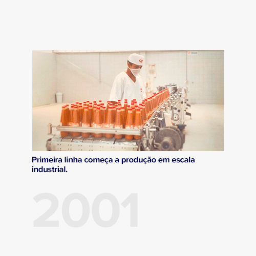 time-line-industria_04